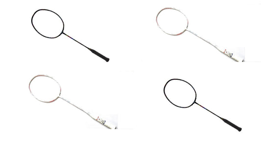 Maxbolt Gallant Tour